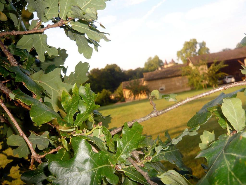 Bed&Breakfast - Maison de Marie Messimy-sur-Saone Extérieur photo