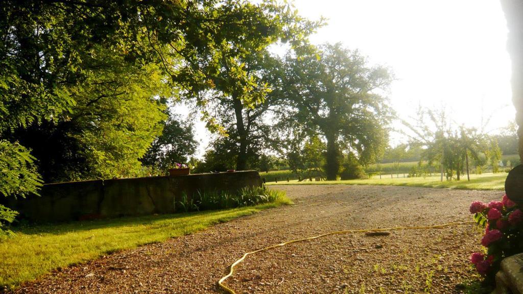 Bed&Breakfast - Maison de Marie Messimy-sur-Saone Extérieur photo