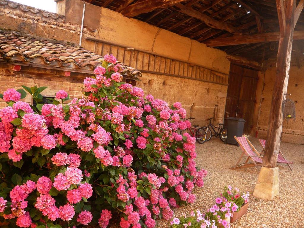 Bed&Breakfast - Maison de Marie Messimy-sur-Saone Extérieur photo