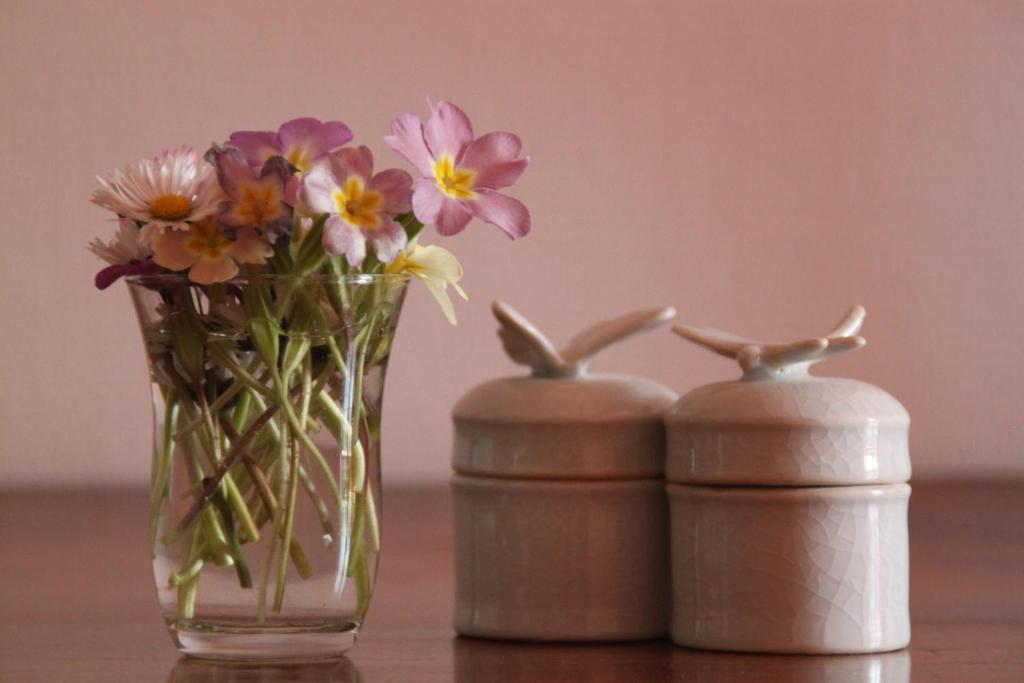 Bed&Breakfast - Maison de Marie Messimy-sur-Saone Chambre photo